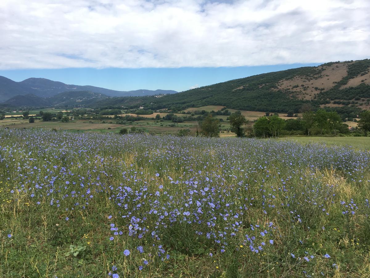 Tenuta Due Laghi Rivodutri Kültér fotó